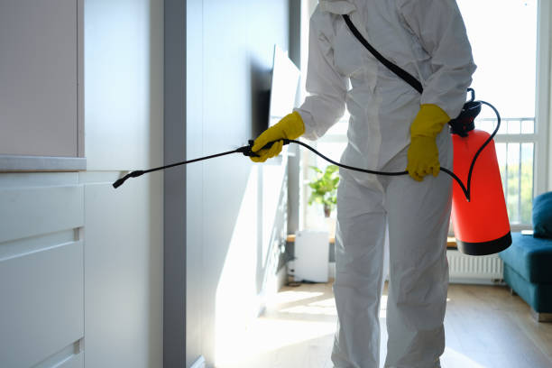 Best Bathroom Mold Remediation in North Canton, OH