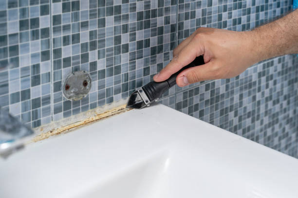 Best Basement Mold Remediation in North Canton, OH